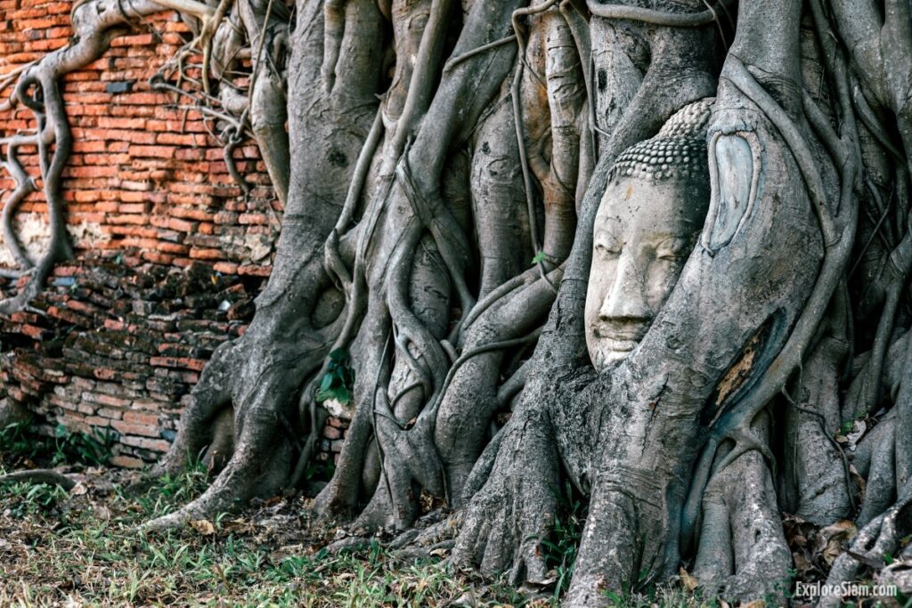 Ayutthaya: The Ancient Capital of Siam