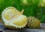 Durian: The Fruit that Divides and Delights