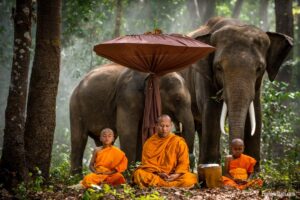 National Thai Elephant Day