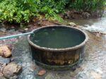 Chiang Dao Hot Springs in a Tranquil Forest