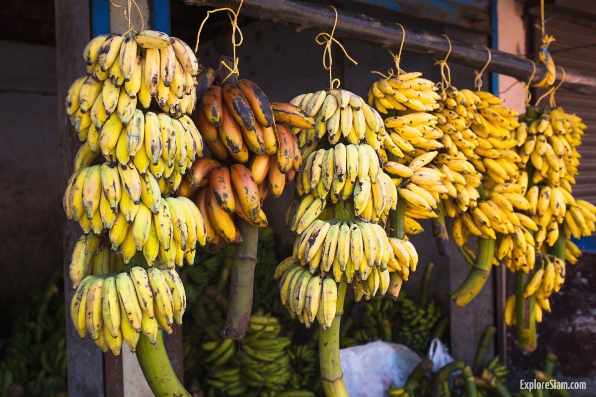 Banana Varieties of Southeast Asia