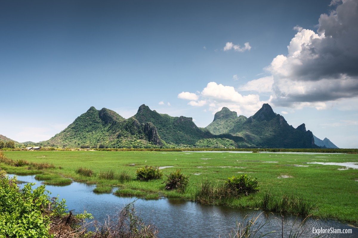 Ecotourism in Thailand: A Journey Through Nature and Culture