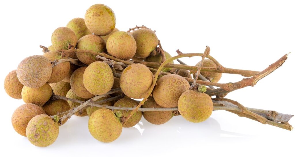 Longan: The Sweet Gem of Southeast Asia