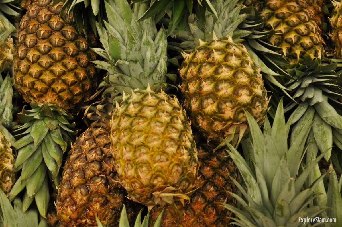 Pineapples of Southeast Asia