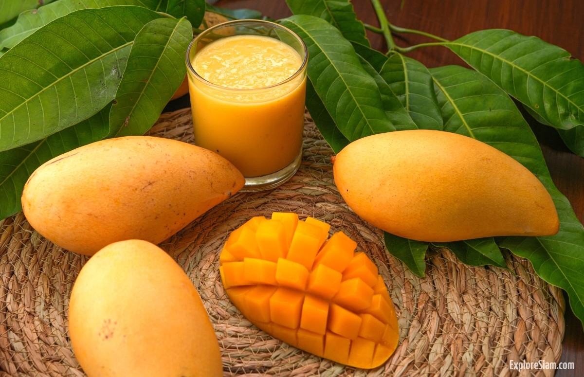 Mangoes in the Spotlight: A Guide to the Juicy Fruit